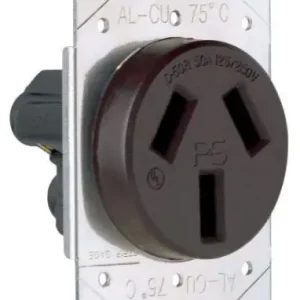 Pass & Seymour 3890 Straight Blade Power Receptacle Order Now