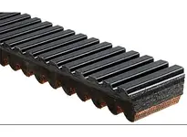 Time-Limited Gates 98231065 36C4683 G-Force C12 Belts