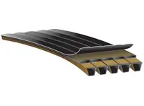 Worldwide Shipping Gates 91844255 4/CP255 Predator PowerBand Belts <ul><li>Strands: 4</li><li>Sectional Top Width: 7/8"</li><li>Total Top Width: 3 1/2"</li><li>Depth: 17/32"</li><li>Outer Length: 257"</li><li>Inner Length: 255"</li><li>Material ID: 91844255</li></ul>Gates' Predator PowerBand belt design offers a solution for drives where single belts vibrate, turn over or jump off the pulleys. It consists of several V-belts joined together by a permanent, high-strength tie band allowing the belts to work together as one unit. The Predator PowerBand belt is especially designed for demanding applications and harsh environments and offers a high resistance to vibration. Specifically designed for high-demand applications, the extra heavy-duty belt construction provides extraordinary high impact strength, capacity, and wear resistance.<ul><li>Aramid Tensile Cords combine limited stretch with extraordinary strength and durability that is pound-for-pound stronger than steel.</li><li>Bareback Cover resists debris and allows the belt to slip under extreme shock load conditions, reducing heat buildup and prolonging belt life.</li><li>Multiple layer Tie Band provides excellent lateral rigidity to prevent belts from turning over or from coming off of the drive.</li></ul>